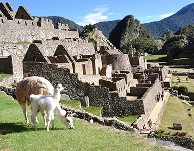 Machu Picchu 2D